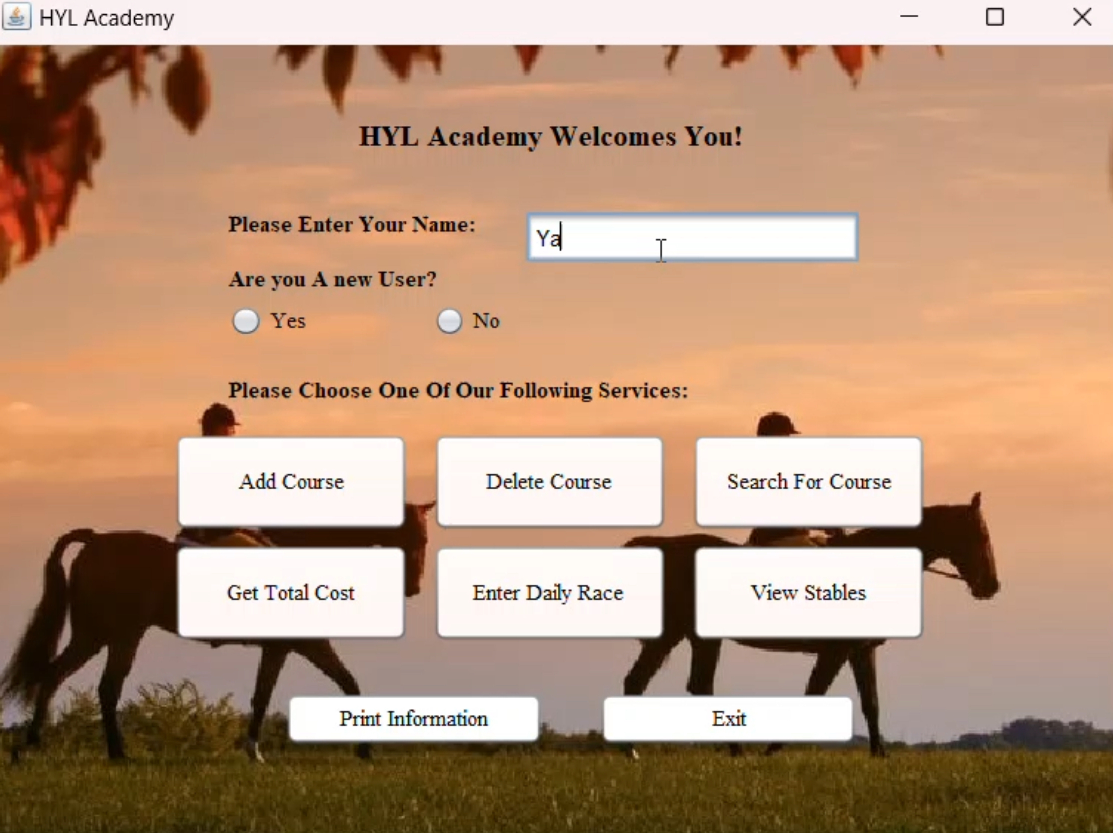 Horse riding academy